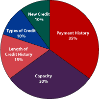 Factors in a FICO score null